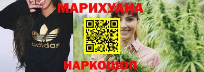 сатива Бузулук