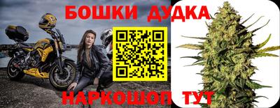 сатива Бузулук