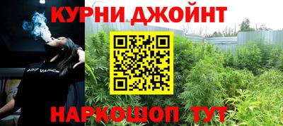 сатива Бузулук