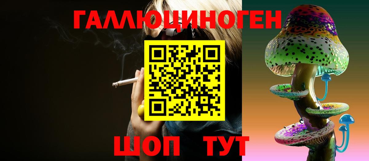 Псилоцибиновые грибы GOLDEN TEACHER  где найти   Черняховск  Вход с VPN 